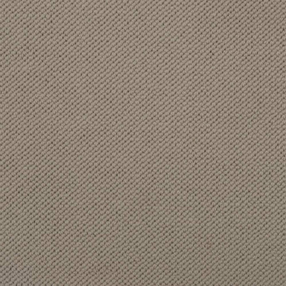 Merino Dreams