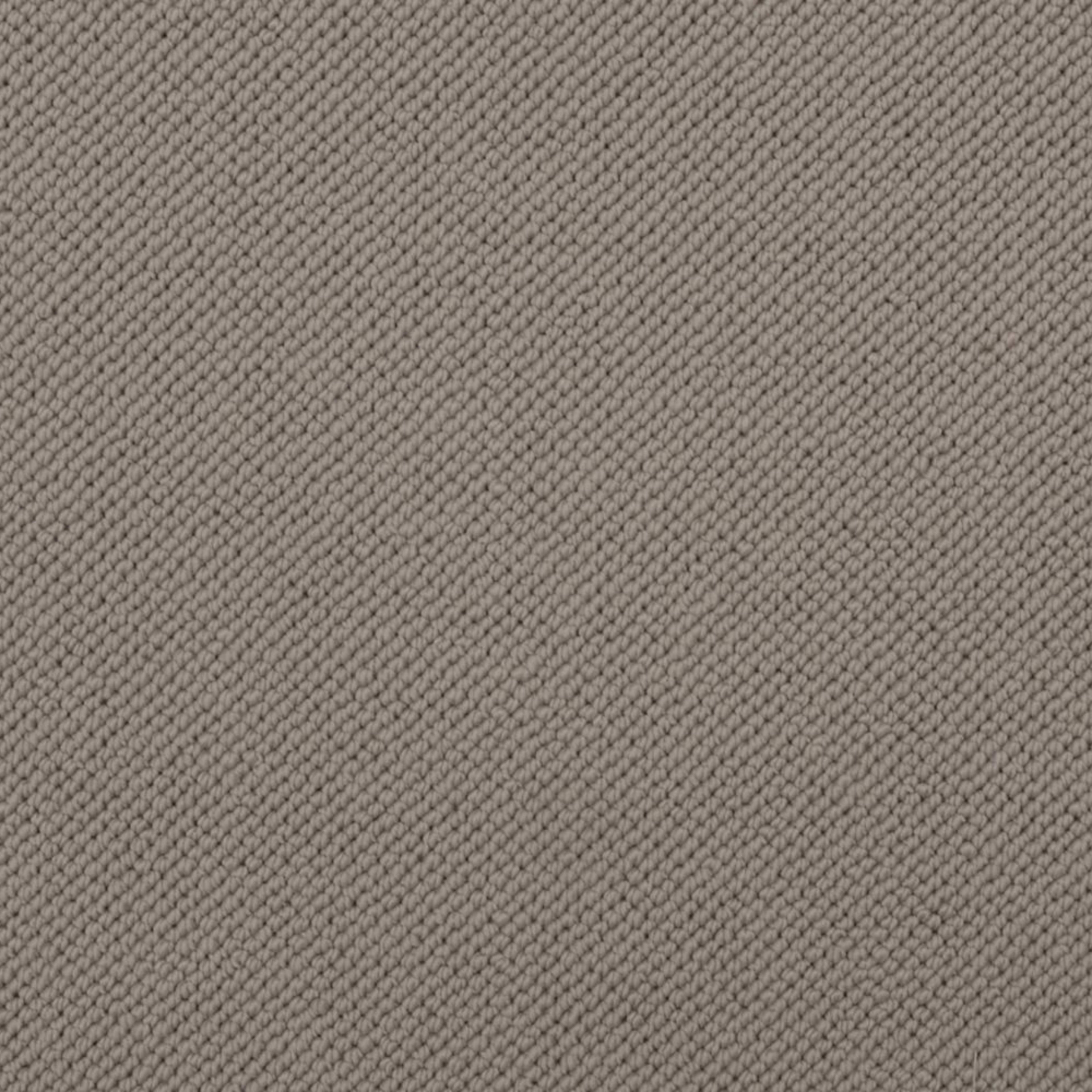 Merino Dreams in Composed Carpet