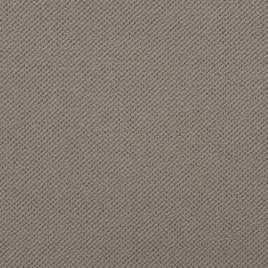 Merino Dreams in Composed Carpet