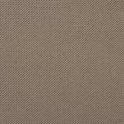 Merino Dreams