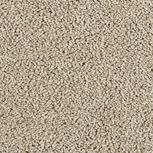 Zenith in Angora Carpet