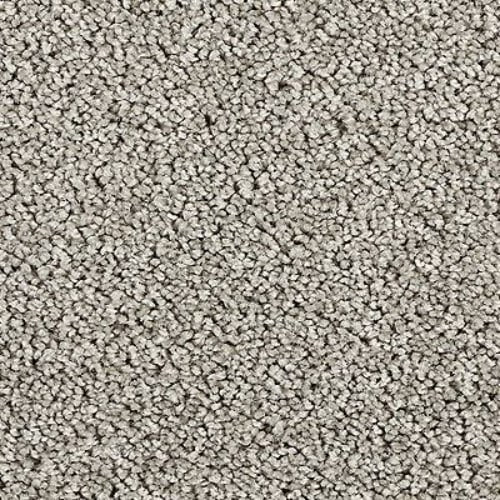 Zenith in Ponder Carpet