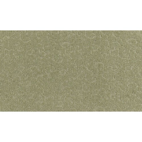 Fabulous Features in Evergreen Carpet