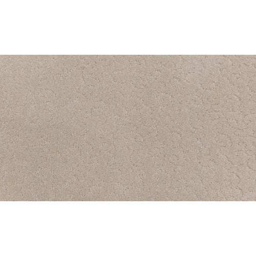 Fabulous Features in Abbey Carpet