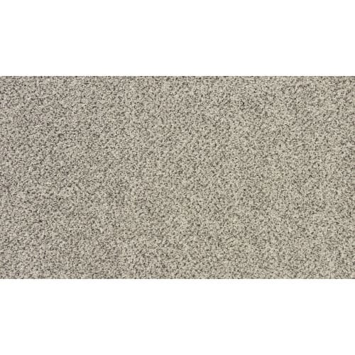 Instinctive Elegance in Aged Parchment Carpet