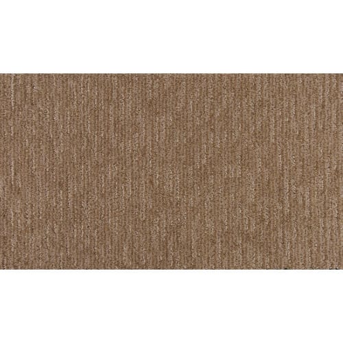 Assemblage in Prelude Carpet