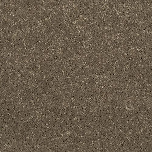 Decorative Charm in Antelope Carpet
