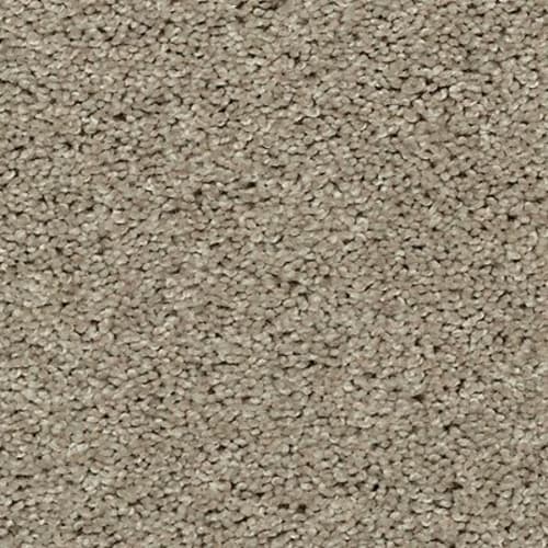 Tonal Luxury II in Carolina Shore Carpet