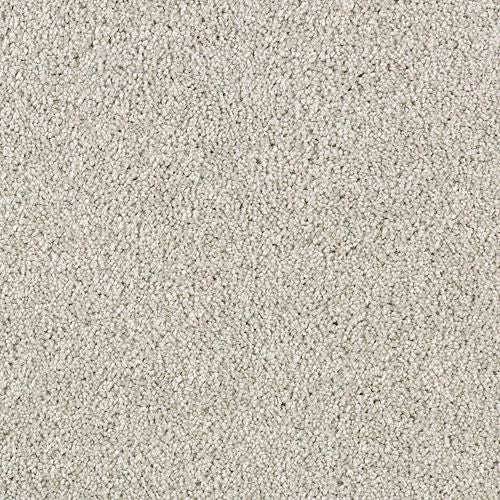 Delightful Charm in Aspen Glow Carpet