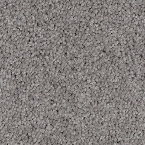 Natural Purpose in Winter Twill Carpet