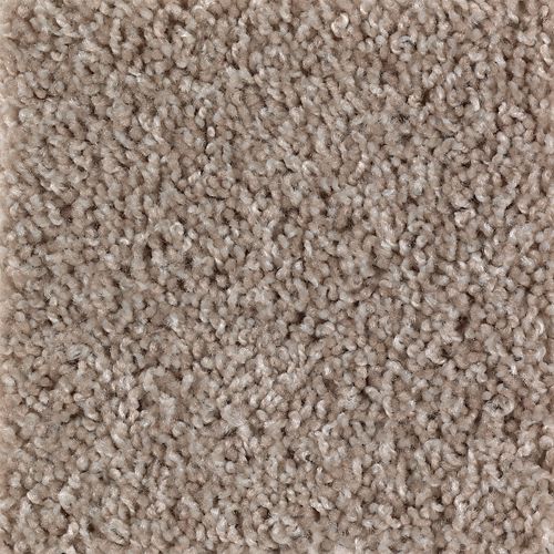 Authentic Escape in Adobe Carpet