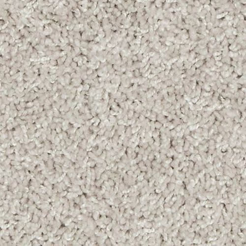 Authentic Voice in Bird Bath Carpet
