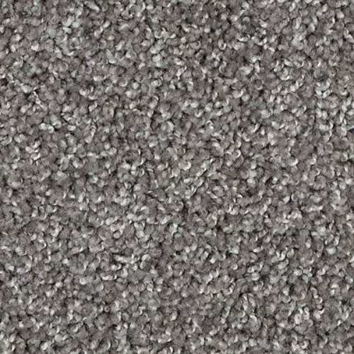 Authentic Voice in Stoney Carpet