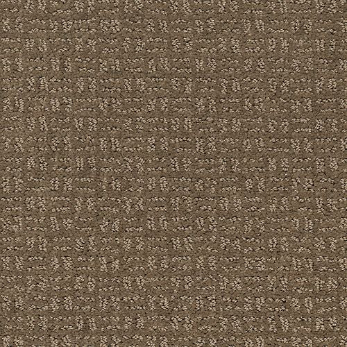 Flawless Vision in Ancestral Haze Carpet