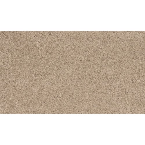 Charismatic Beauty in Isabeline Carpet