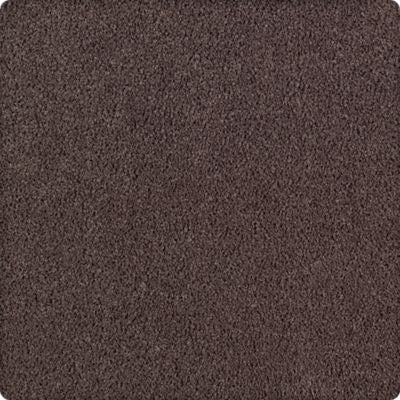Karastan Luxurious Beauty Carpet Flooring