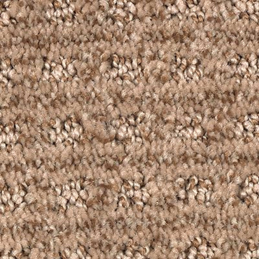 Ultimate Image in Pecan Delight Carpet