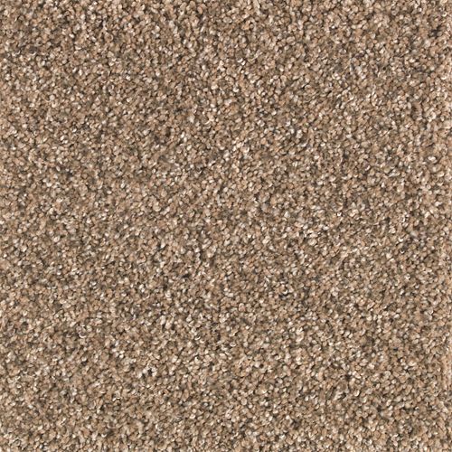Nature's Elegance in Autumn Brown Carpet