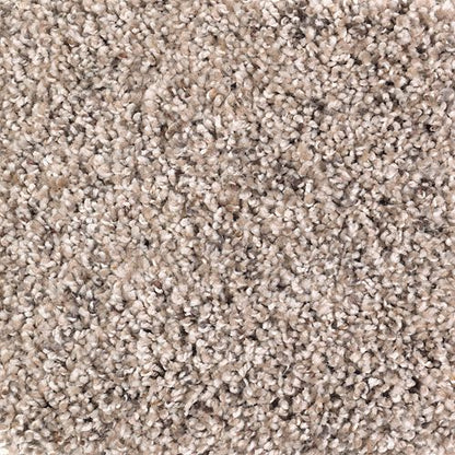 Soft Sensations I in Turkish Delight Carpet
