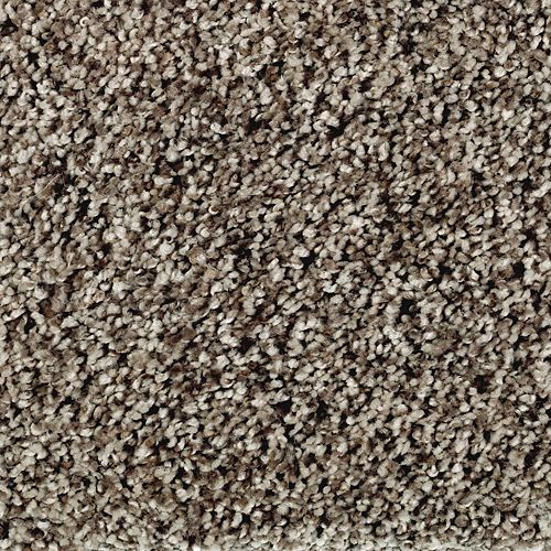 Softly Elegant II in Sand Dollar Carpet