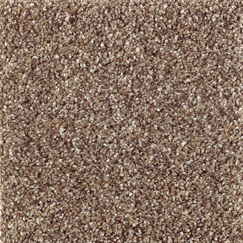 Nature's Luxury I in Walnut Shell Carpet