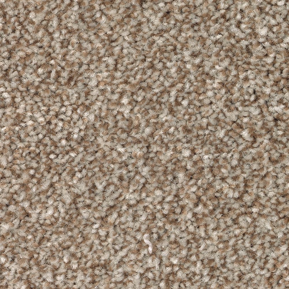 Mohawk True Harmony Carpet Flooring