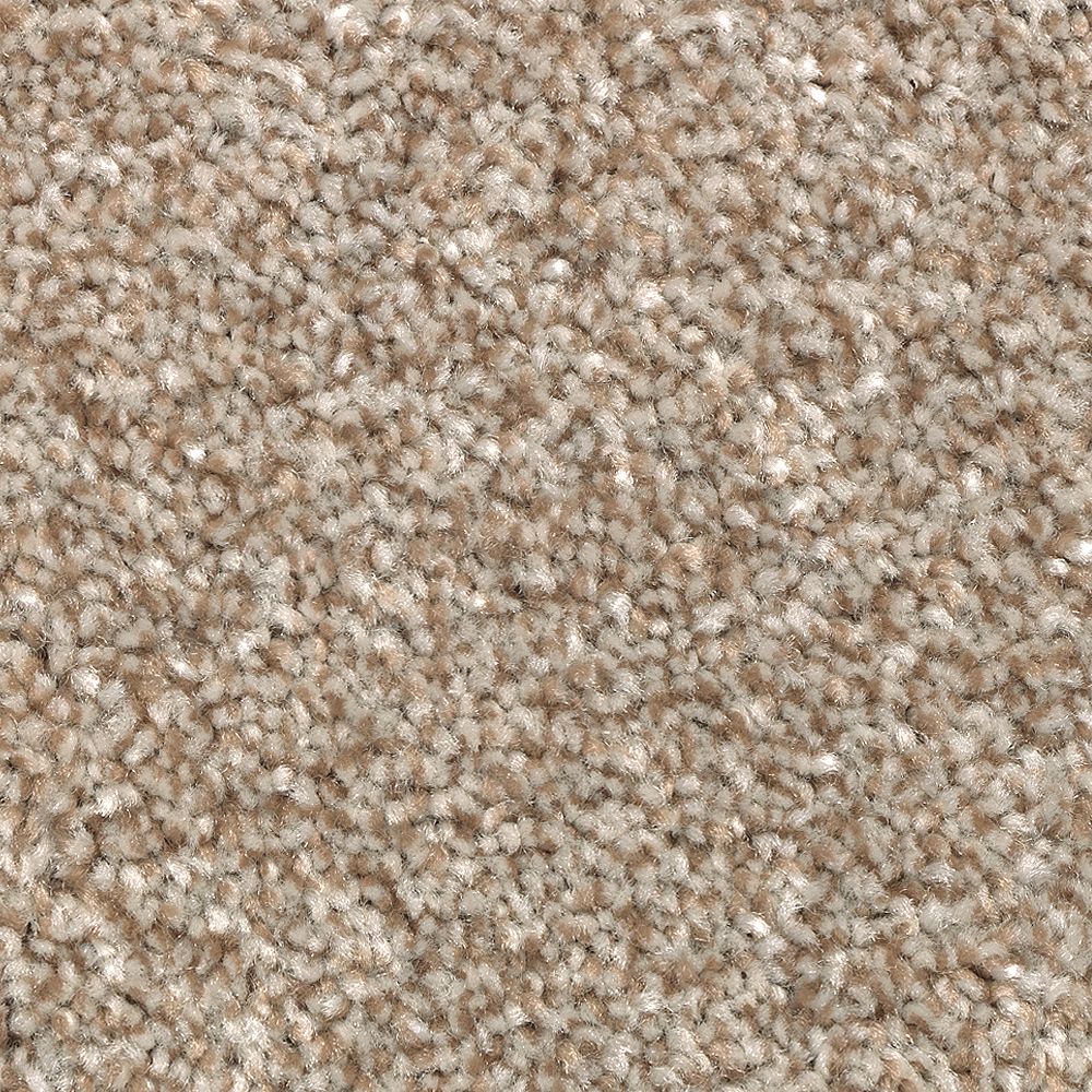 Polished Shades I
