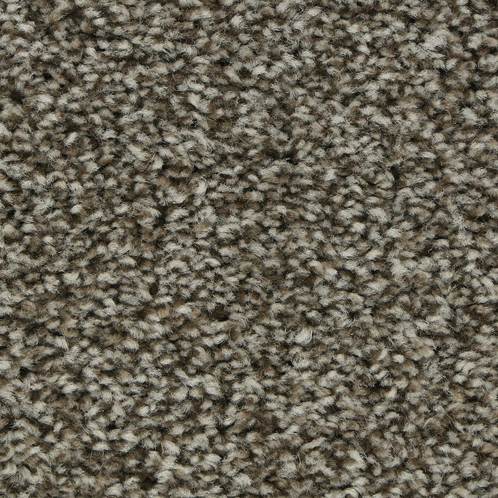 Polished Shades I