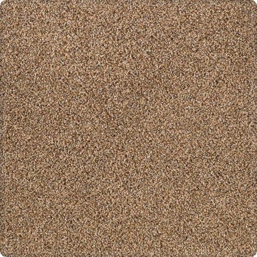 Tranquil Shades in Cattail Carpet