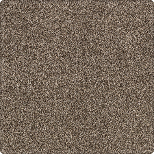 Tranquil Shades in Boulevard Carpet