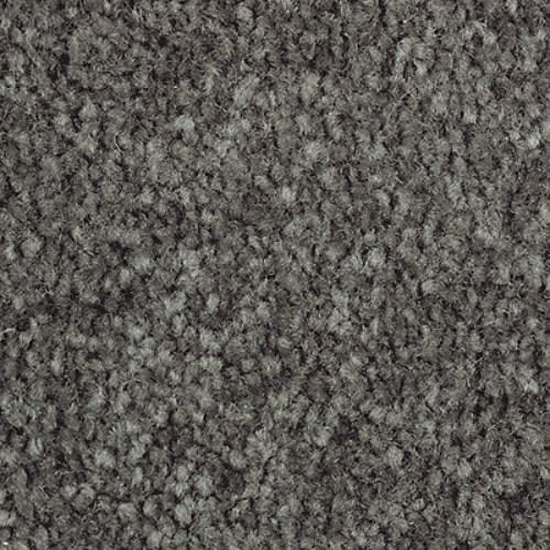 Homefront III in Elvin Forest Carpet