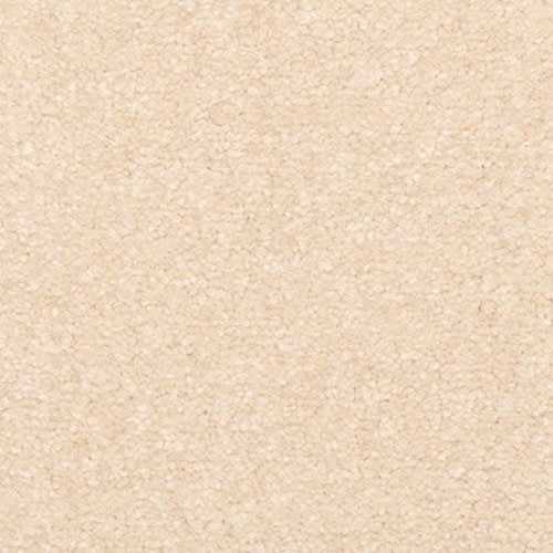 Classical Design III in Champagne Bubble Carpet