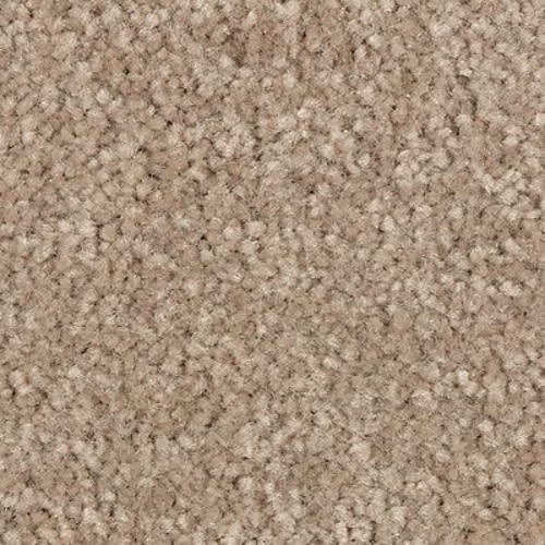 Elegant Appeal III in Dash O'spice Carpet