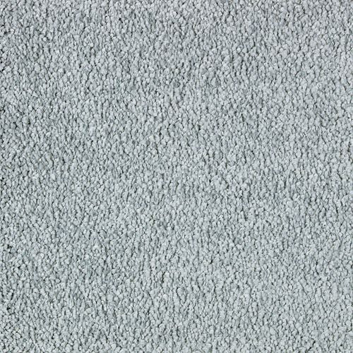 Exquisite Attraction in Allure Carpet