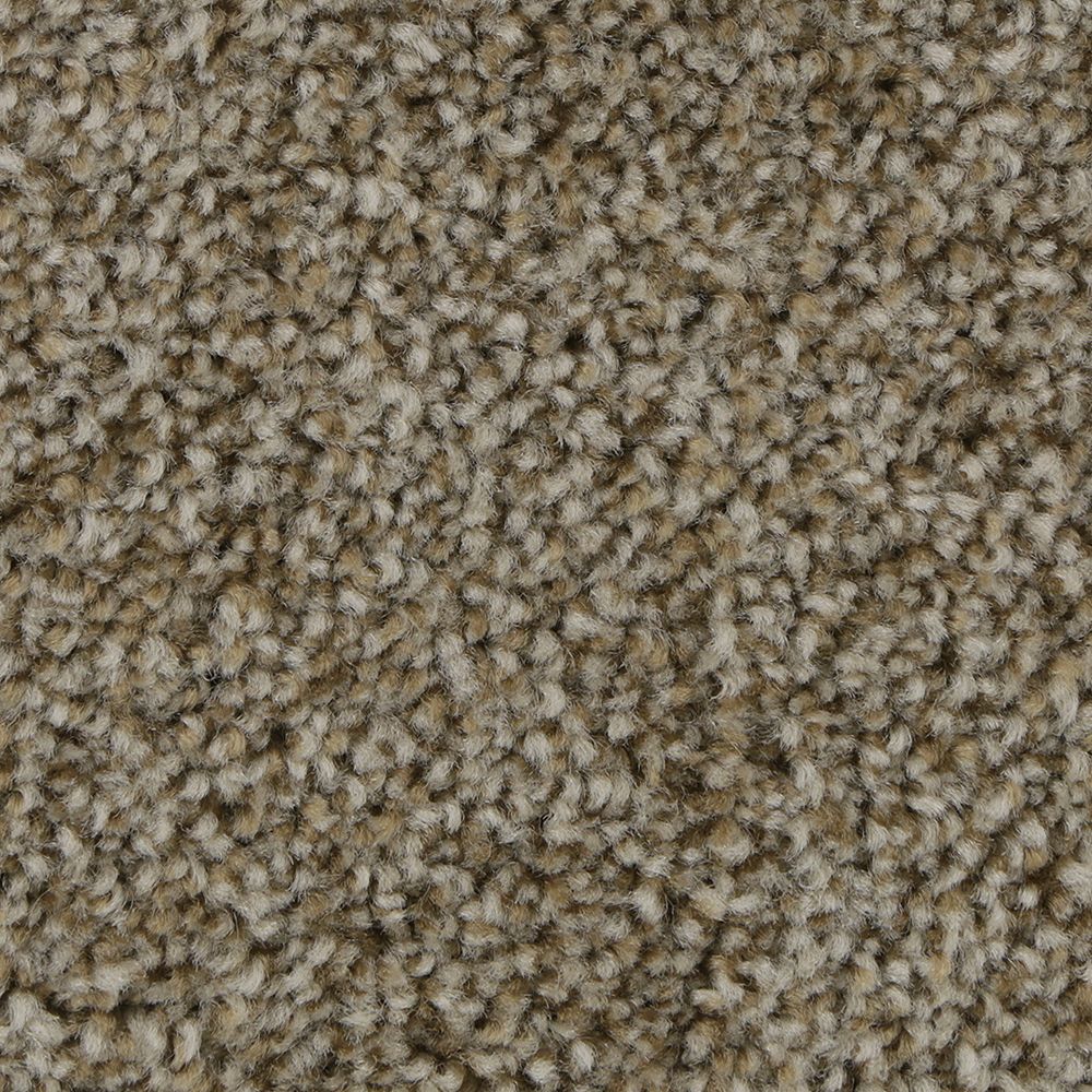 Polished Shades II