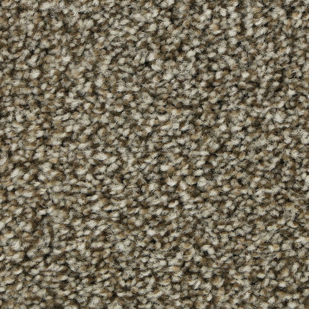 Polished Shades II