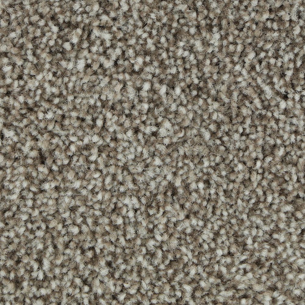 Polished Shades II
