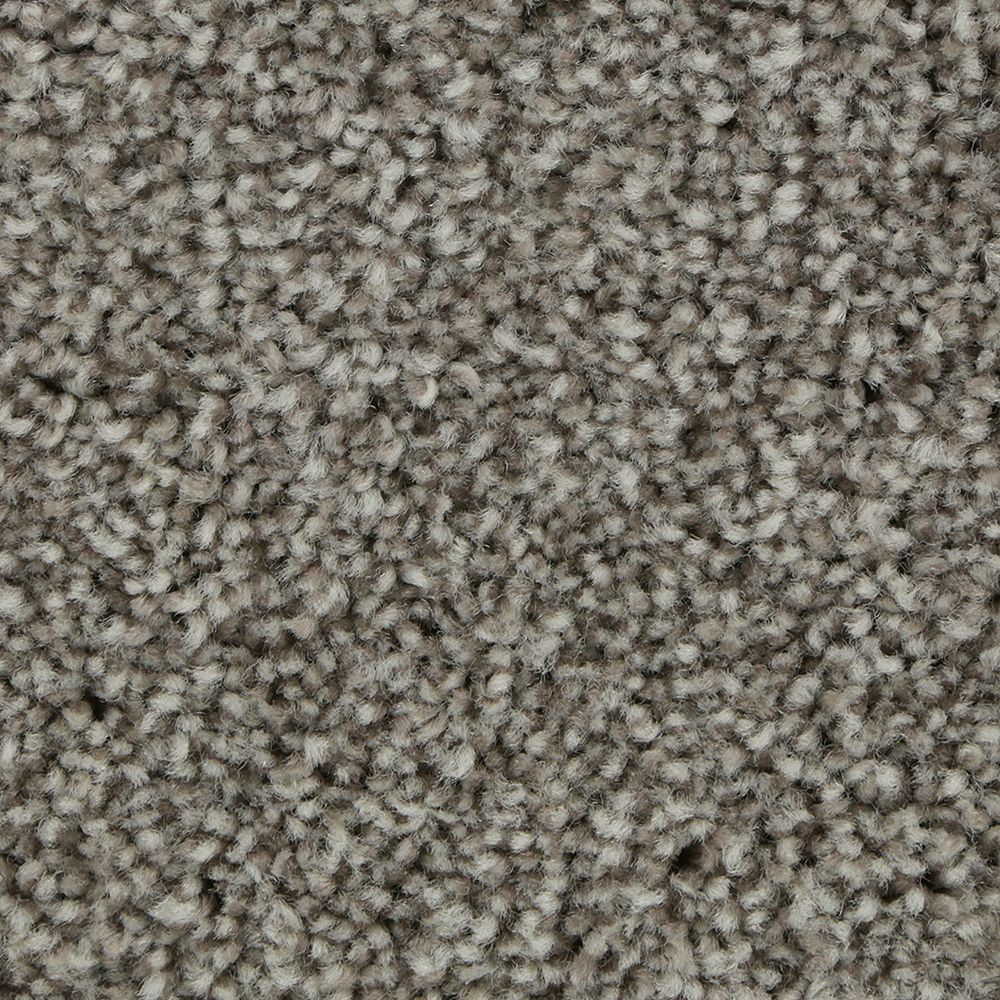 Polished Shades II