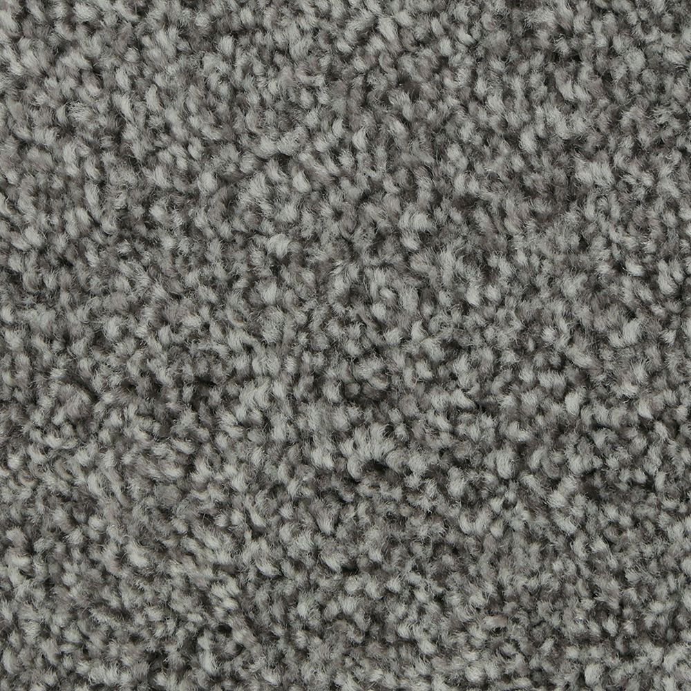 Polished Shades II