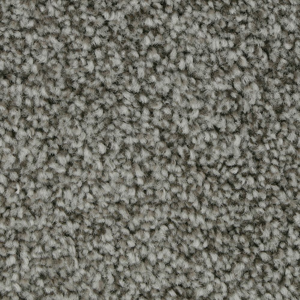Polished Shades II