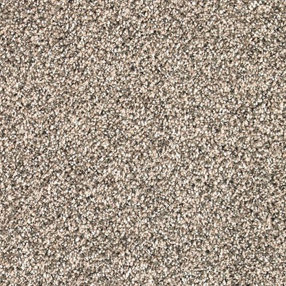 Desired Elegance in Coastal Beige Carpet