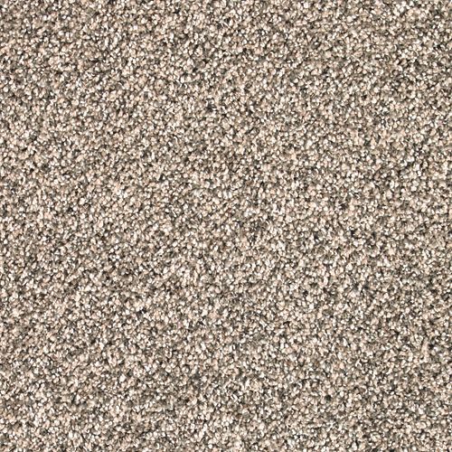 Desired Elegance in Coastal Beige Carpet