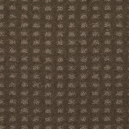 Outstanding Artistry in Bison Carpet