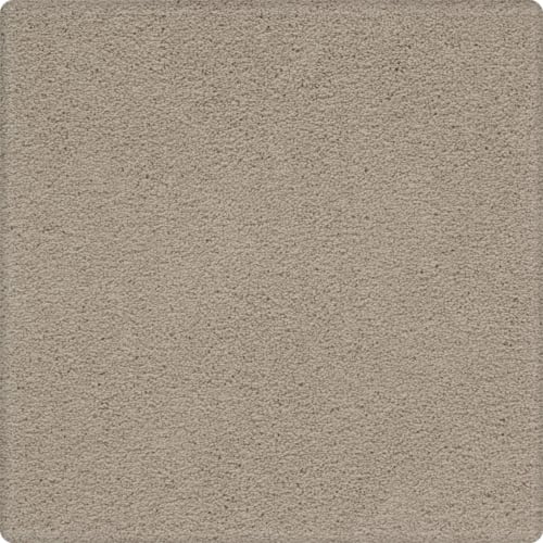 Tempting Appeal in Adore Carpet