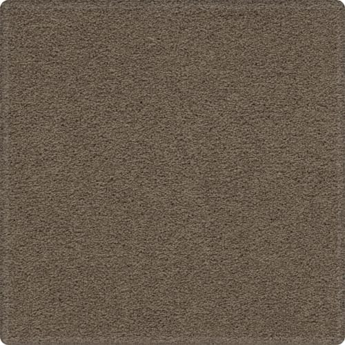 Tempting Appeal in Enchanting Carpet