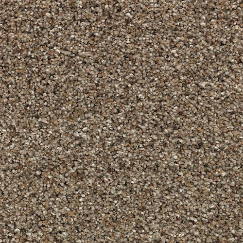 Dynamic Living Rugs Dynamic Living in Ashen Tan Carpet – Lewis Floor & Home