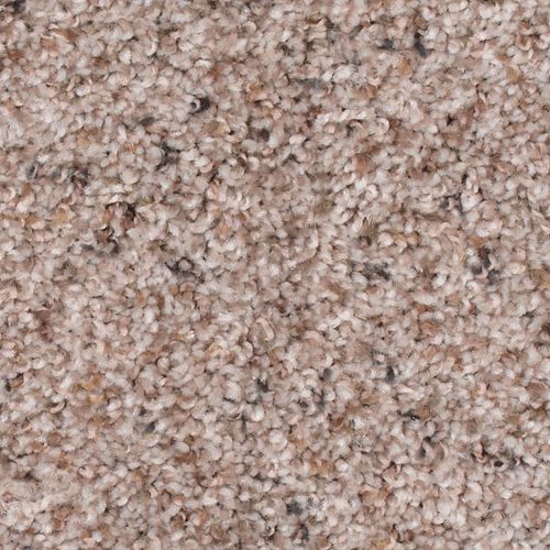 Earthly Details I in Homespun Linen Carpet