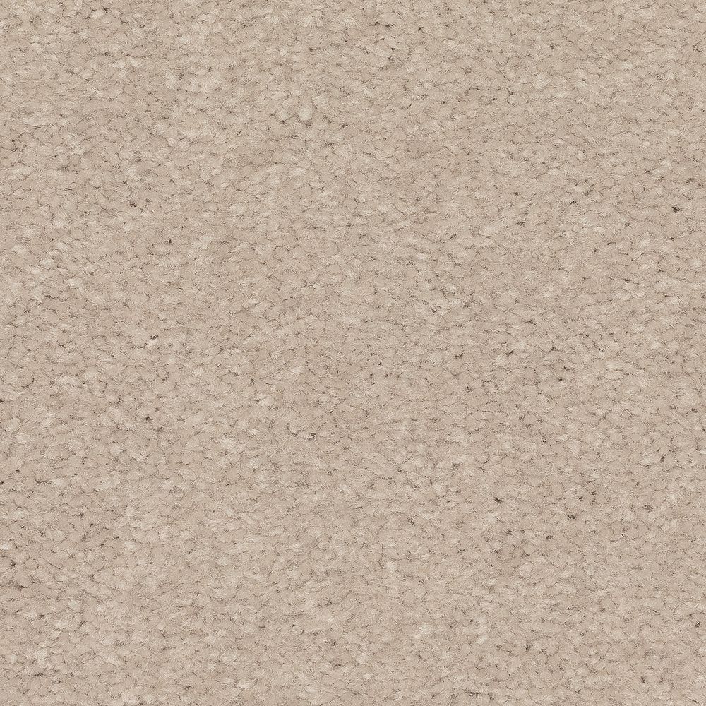 Mohawk Quality Life Carpet Flooring