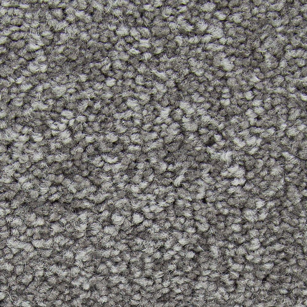 Mohawk Memorable View Carpet Flooring