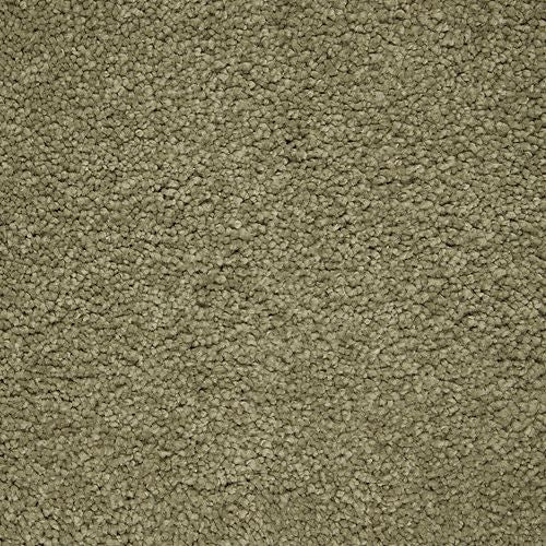 Pleasant Touch in Valley Fog Carpet